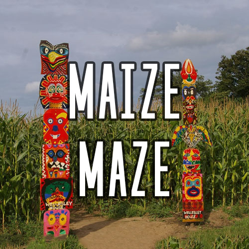 Quex Activity Centre