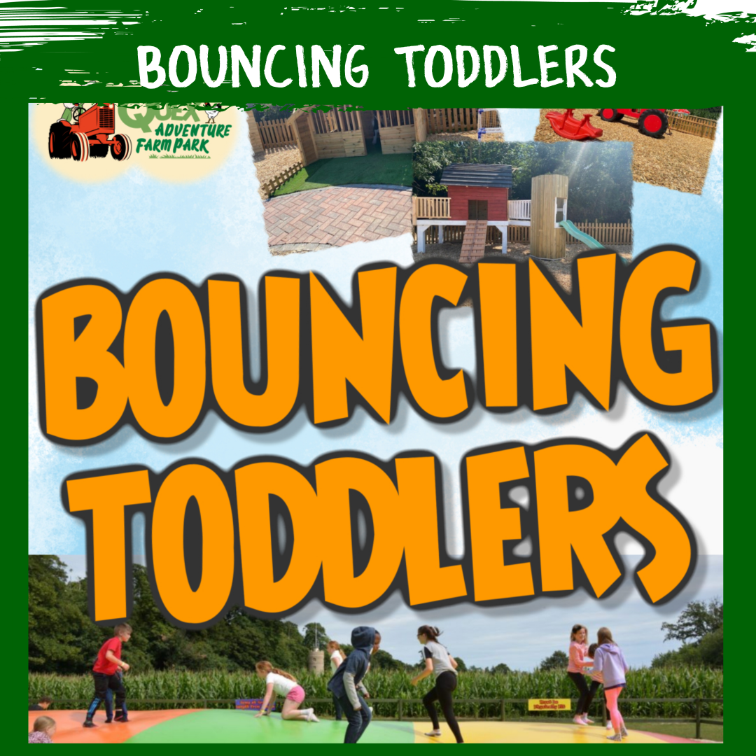Toddler Bounce