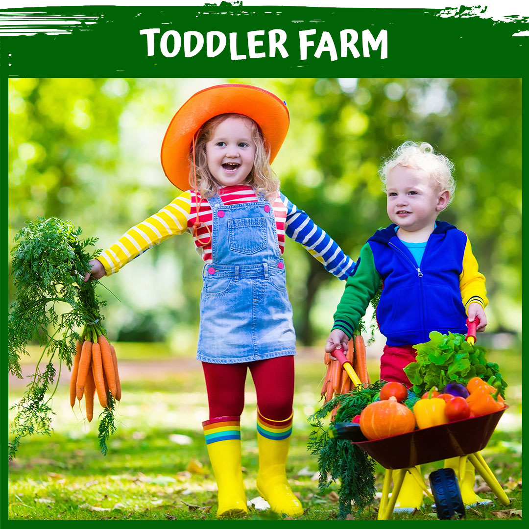 Toddler Farm